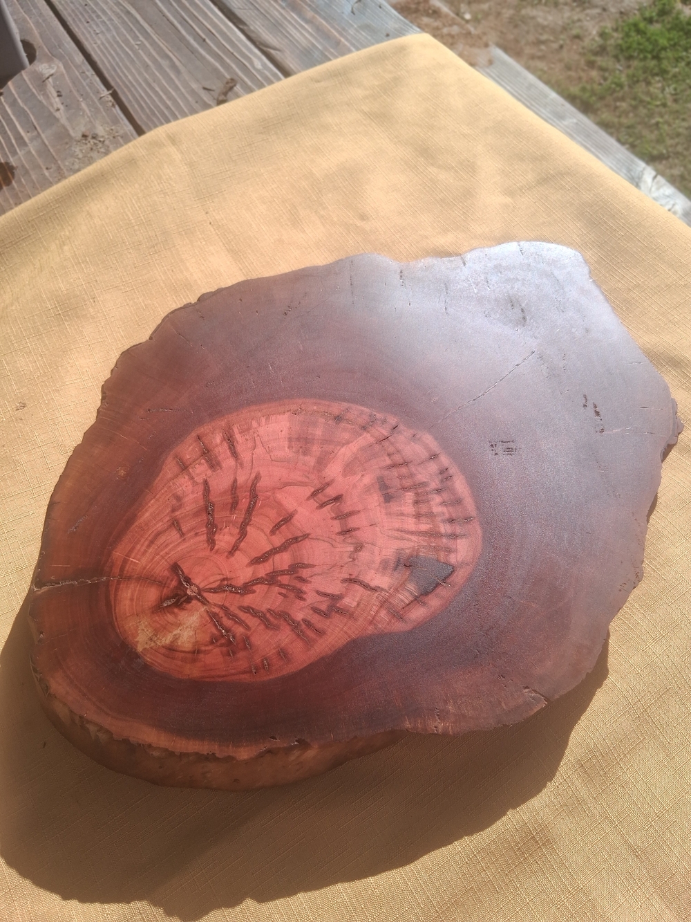 RARE 1925 Fullerton Pepperwood Live Edge Slab 15” x 2.5” - Picture 10 of 10